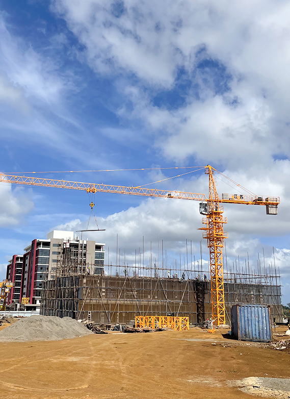 Project QTZ50 (5010) Tower Crane in Mauritius